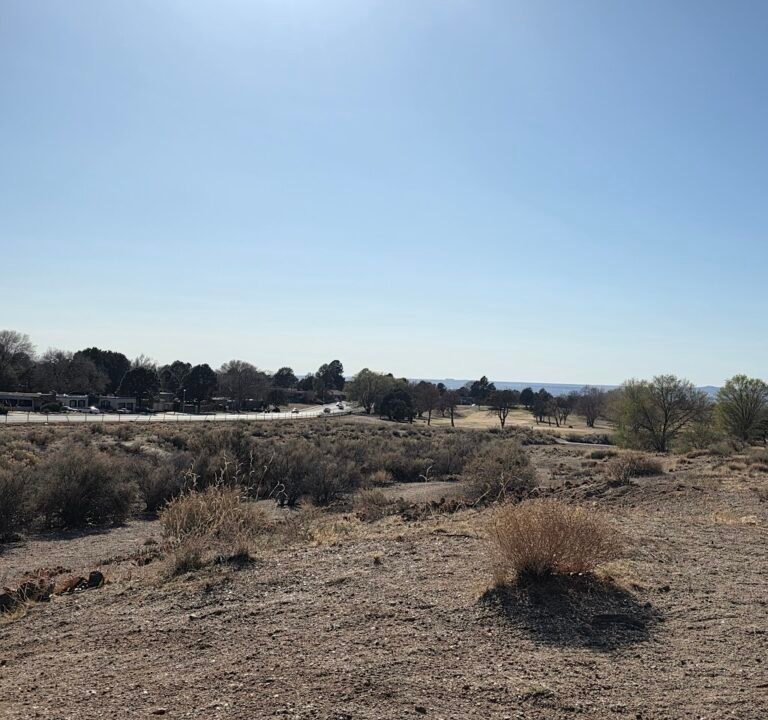 Soccer Field image 3