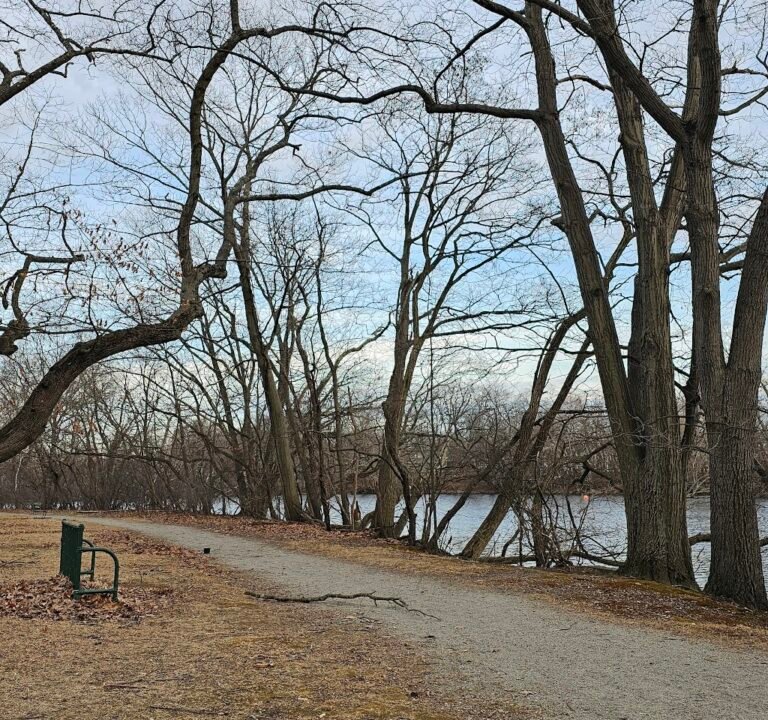 Soccer Field image 3