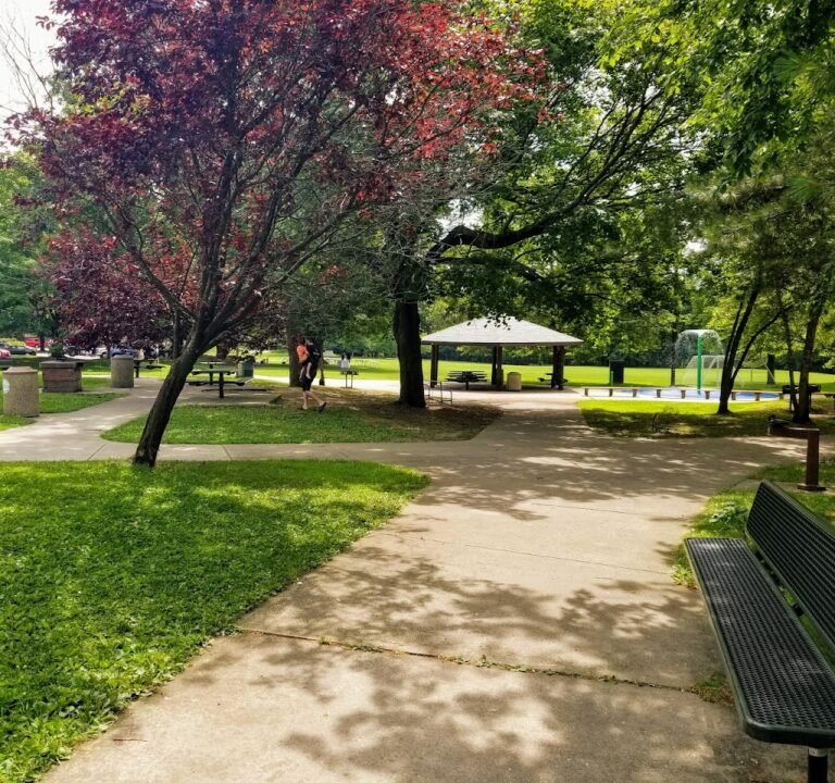 Soccer Field image 2