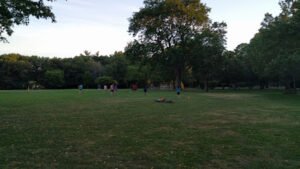 Soccer Field image 1