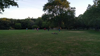 Soccer Field image 1