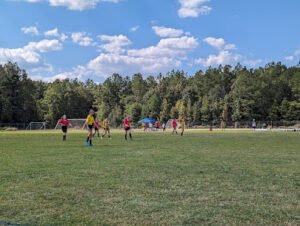 Soccer Field image 1