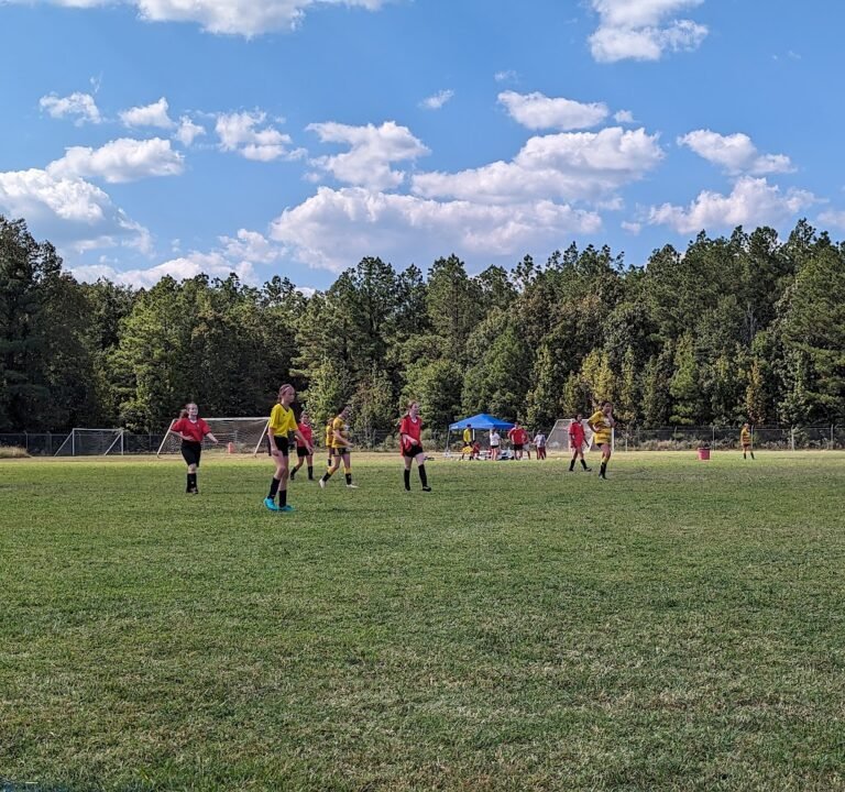 Soccer Field image 3