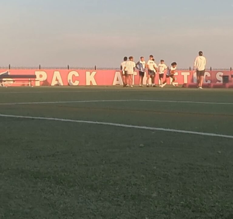 Soccer Field image 3