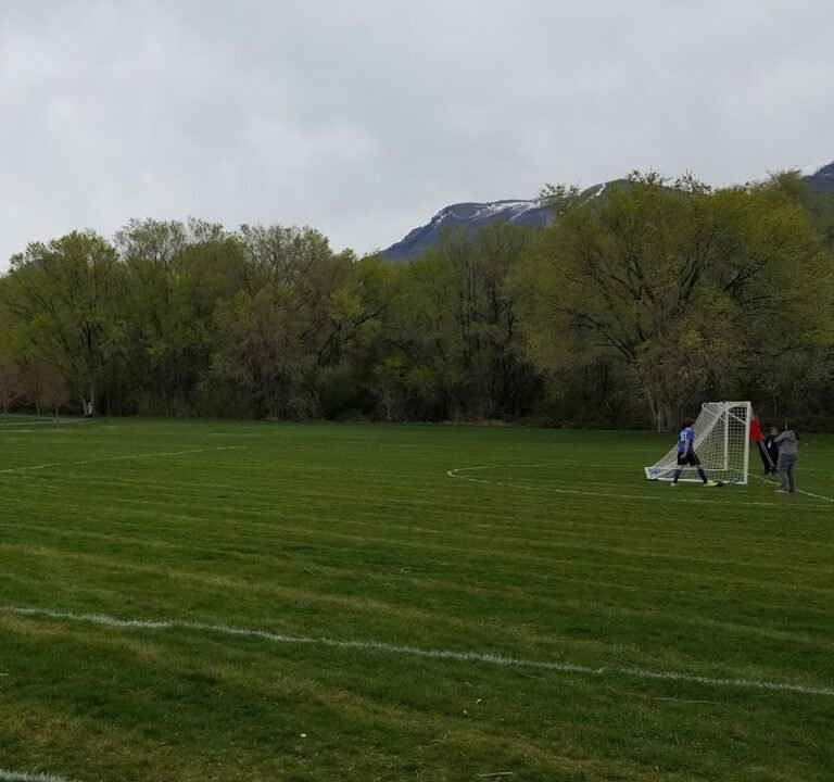 Soccer Field image 2