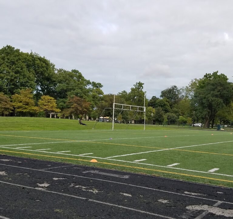 Soccer Field image 2