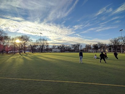 Soccer Field image 1