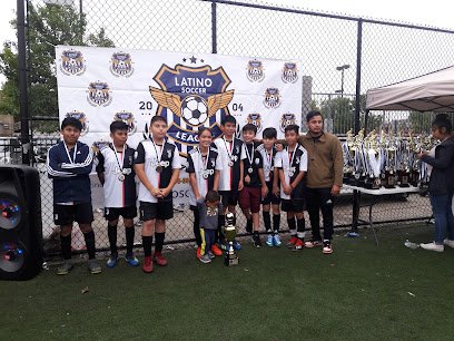 Soccer Field image 1