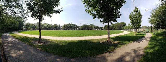 Soccer Field image 1