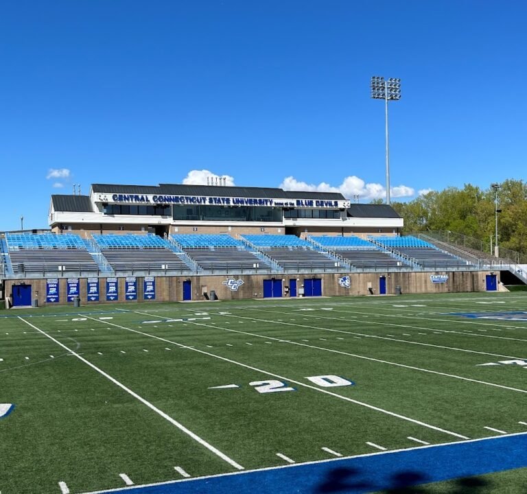 Soccer Field image 2