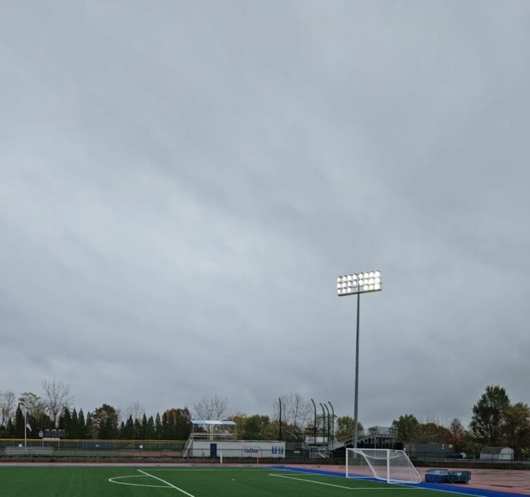 Soccer Field image 4