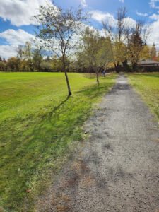 Soccer Field image 1