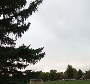 Soccer Field image 4