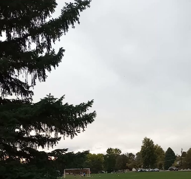 Soccer Field image 4