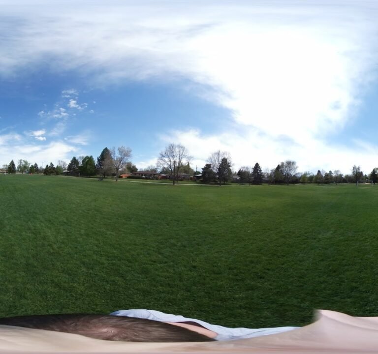 Soccer Field image 3