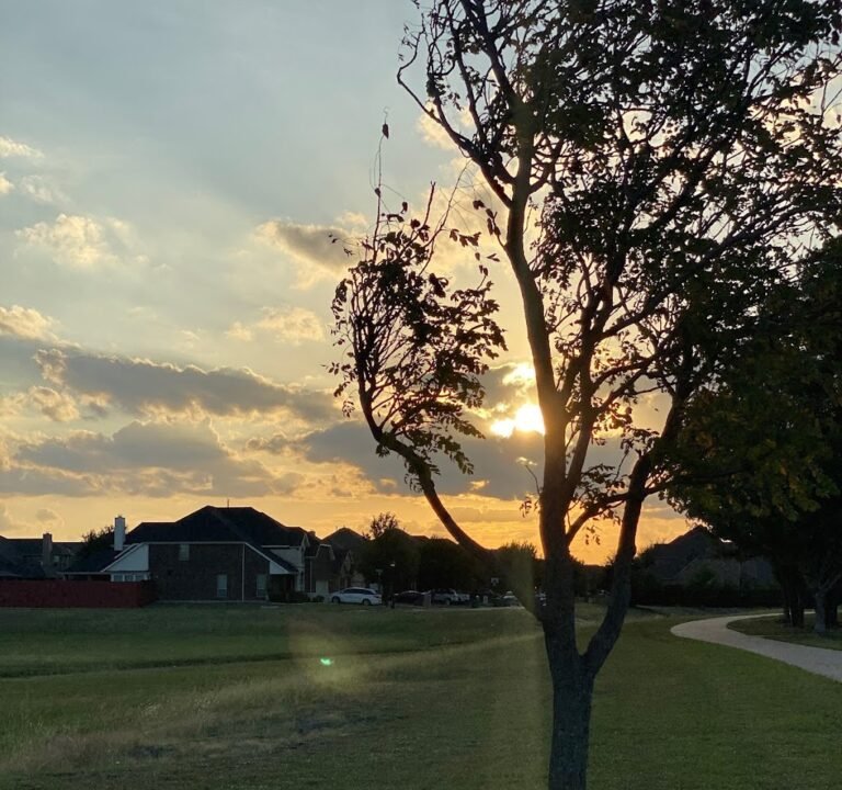 Soccer Field image 3