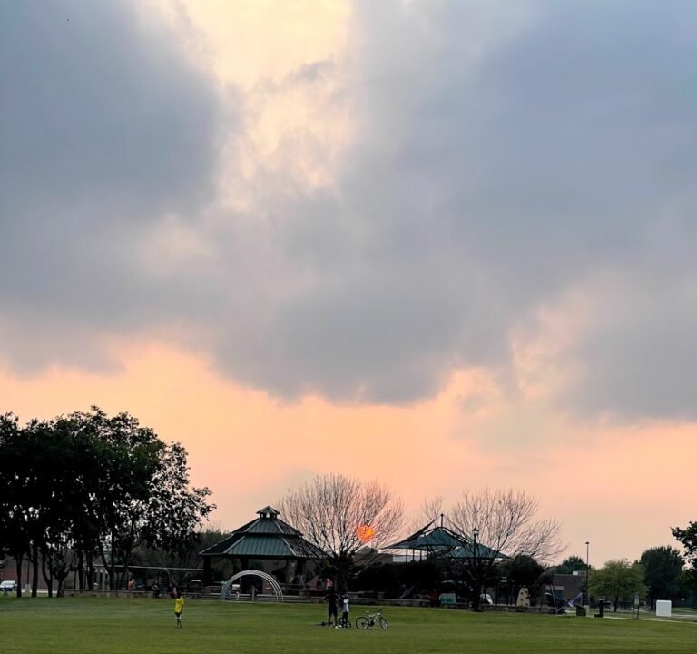 Soccer Field image 2