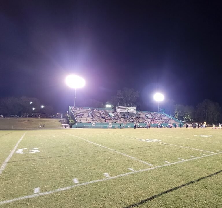 Soccer Field image 3