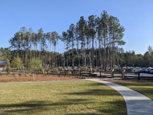 Soccer Field image 1