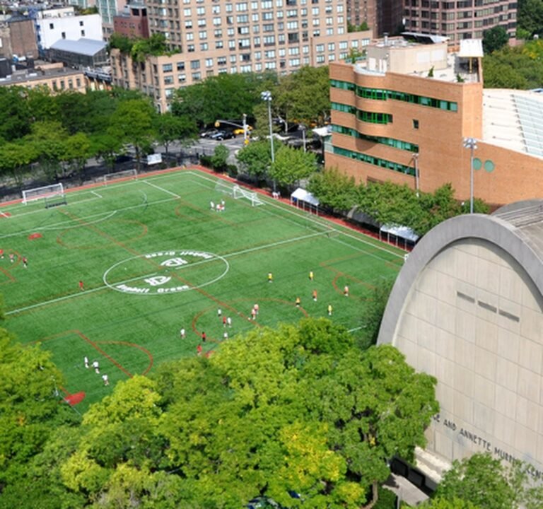 Soccer Field image 2