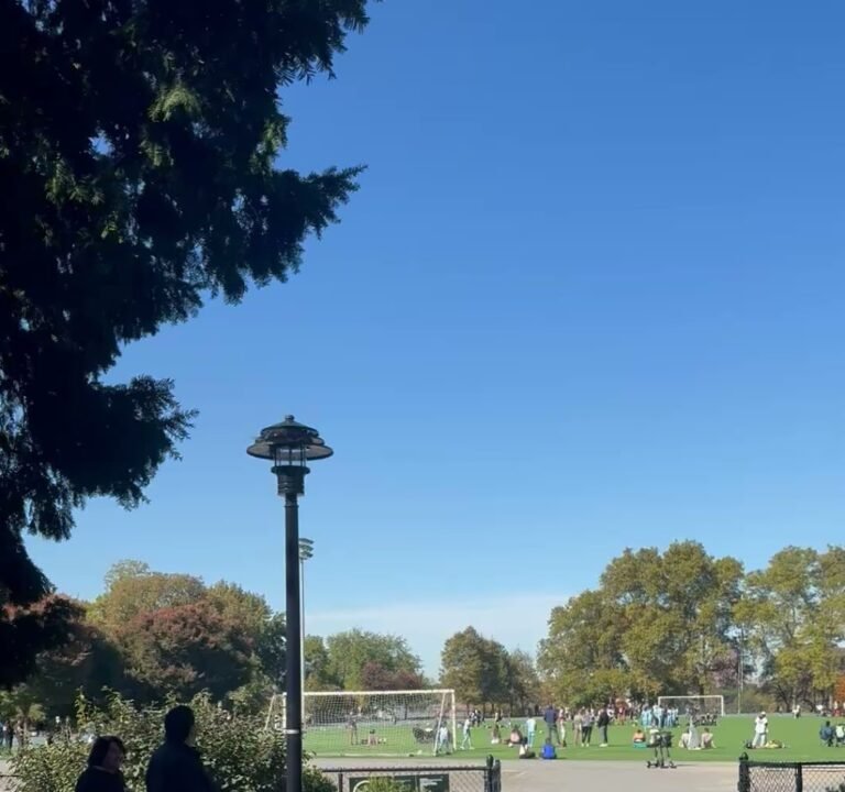 Soccer Field image 4