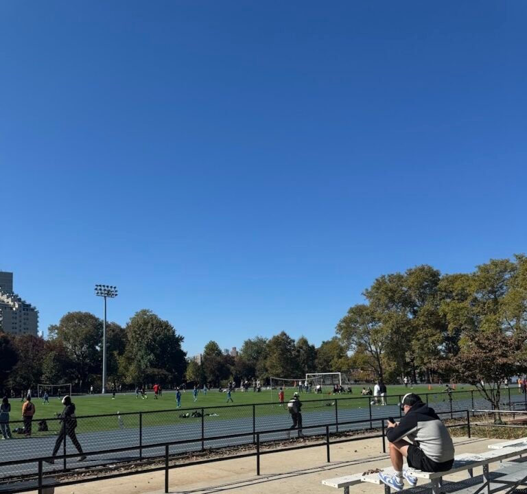 Soccer Field image 2