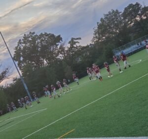Soccer Field image 3