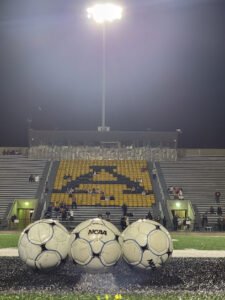 Soccer Field image 1