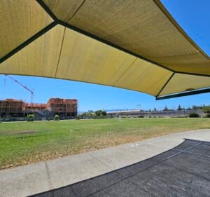 Soccer Field image 2