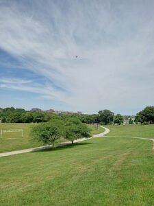 Soccer Field image 1