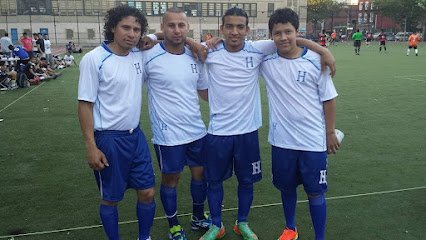 Soccer Field image 1