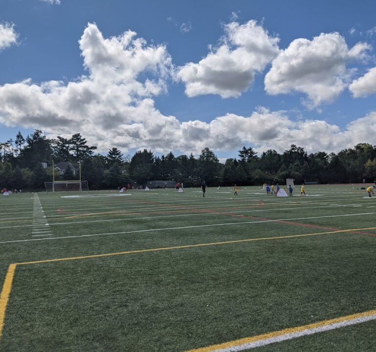 Soccer Field image 2