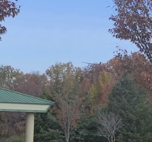 Soccer Field image 3