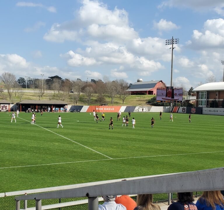 Soccer Field image 2