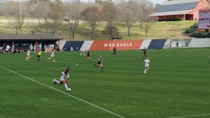 Soccer Field image 1