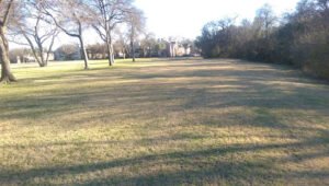 Soccer Field image 1