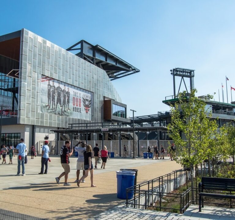 Soccer Field image 2