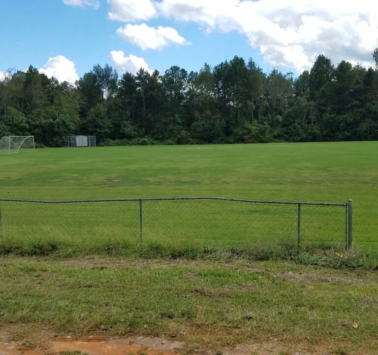 Soccer Field image 2