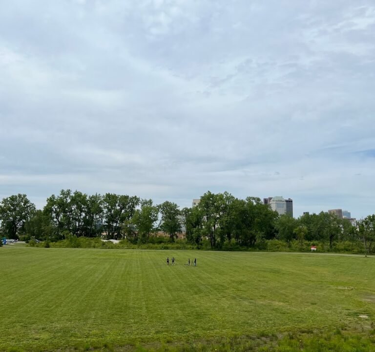 Soccer Field image 2
