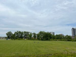 Soccer Field image 1