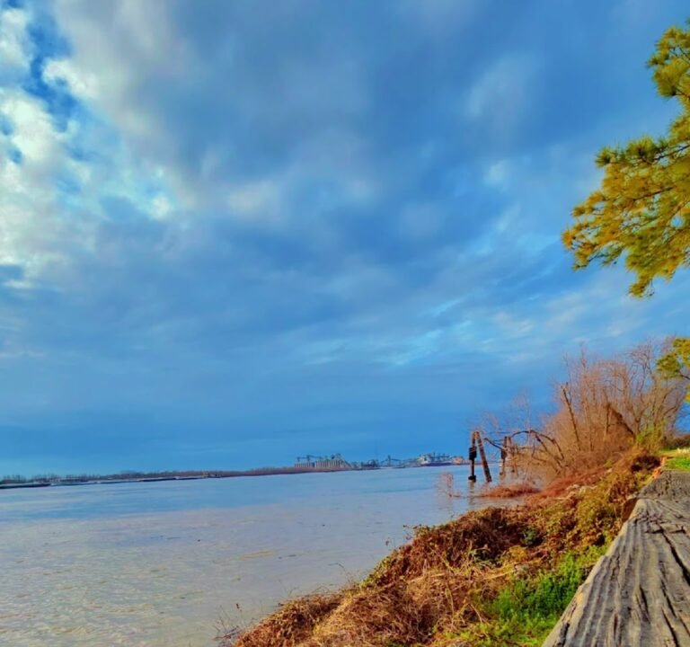 Soccer Field image 3