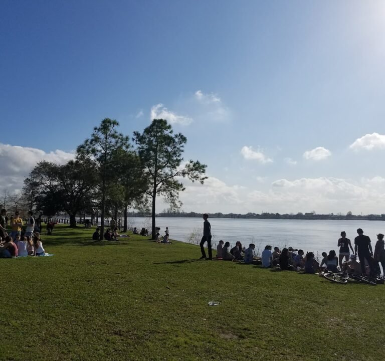 Soccer Field image 2