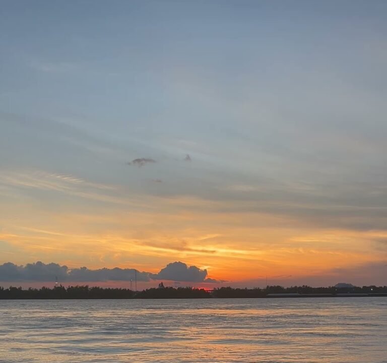 Soccer Field image 4