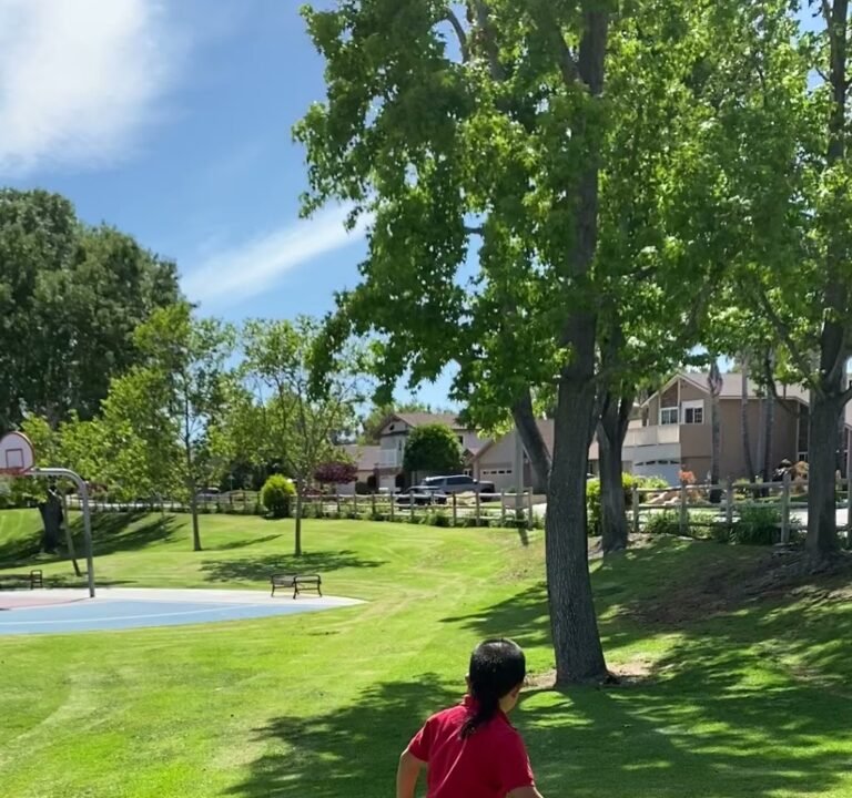 Soccer Field image 4