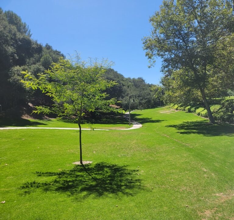 Soccer Field image 2