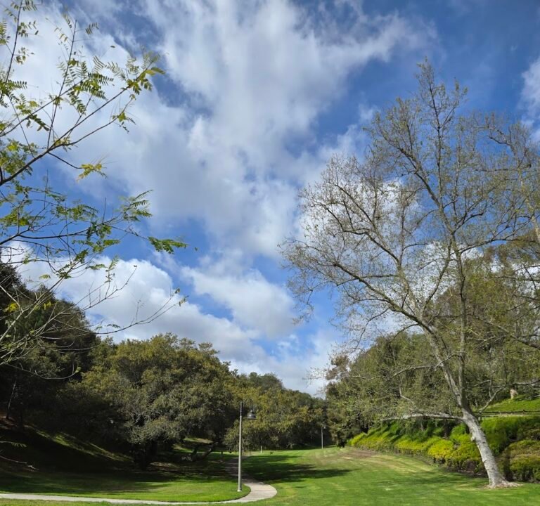 Soccer Field image 3