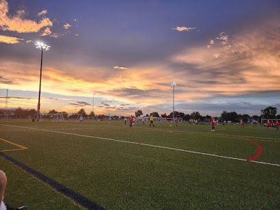 Soccer Field image 1