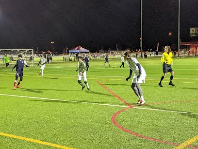 Soccer Field image 1