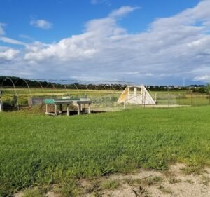 Soccer Field image 2