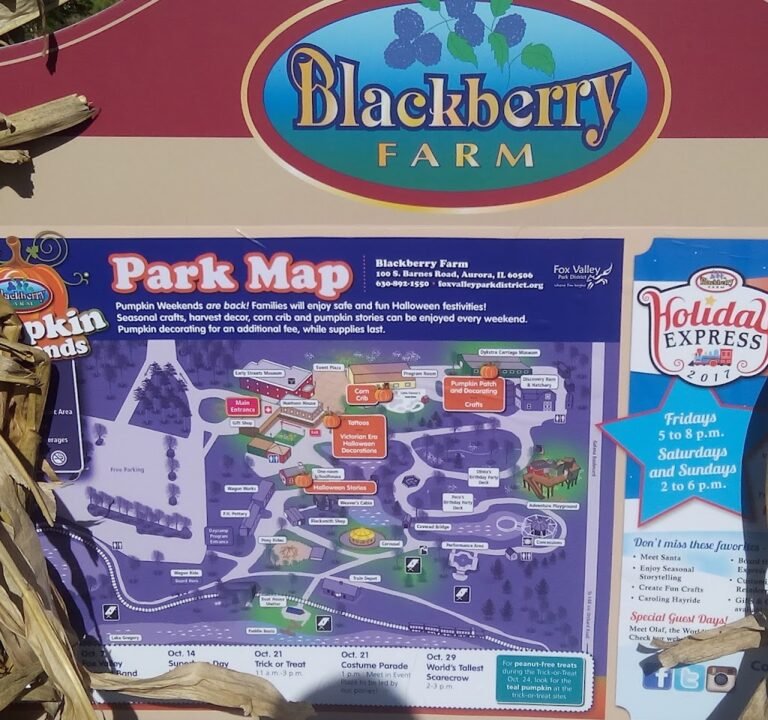 Soccer Field image 3